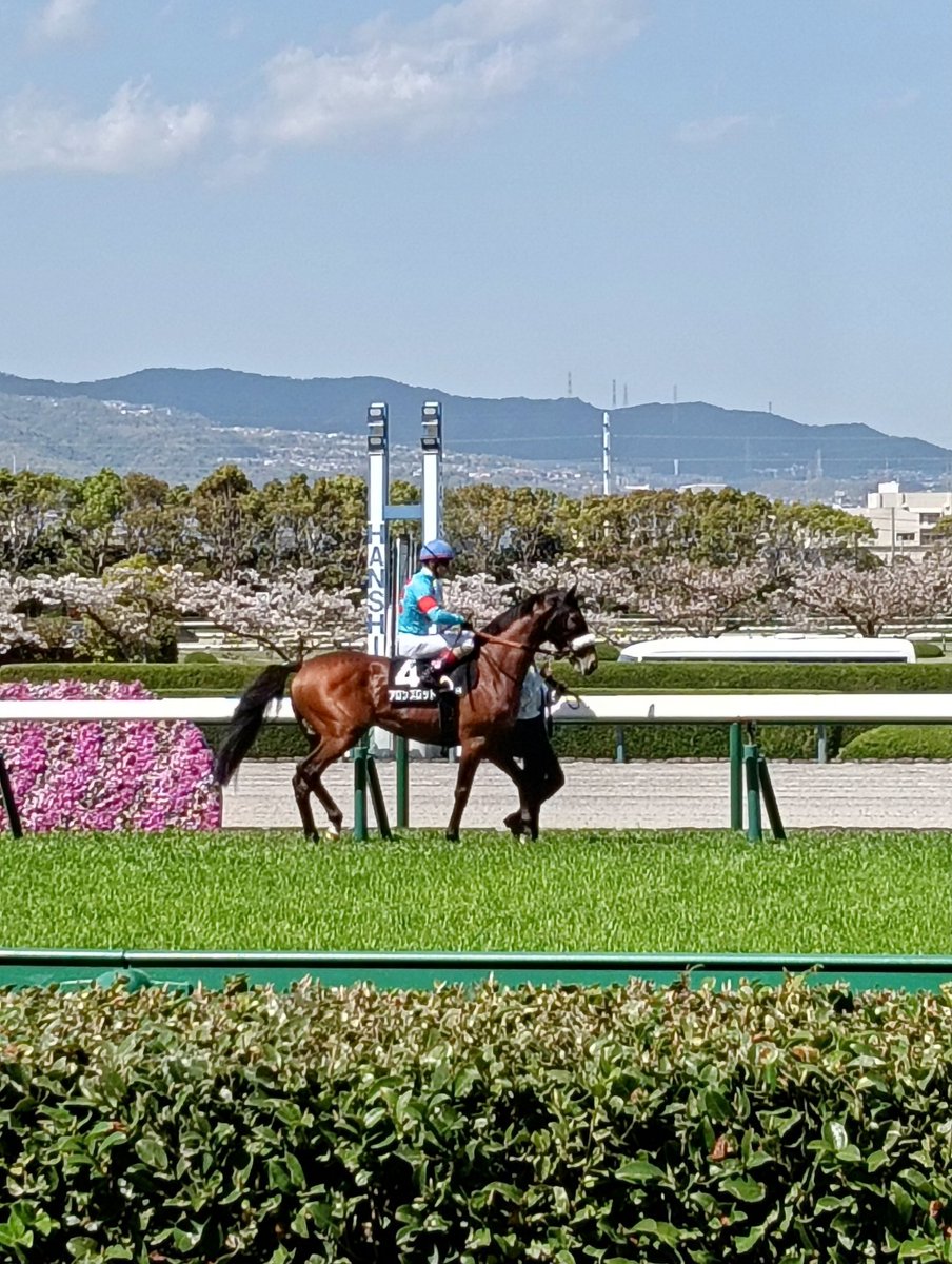神戸の金庫屋4代目バカ息子のブログ tweet media