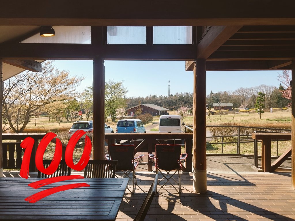 とら🥐 tweet media