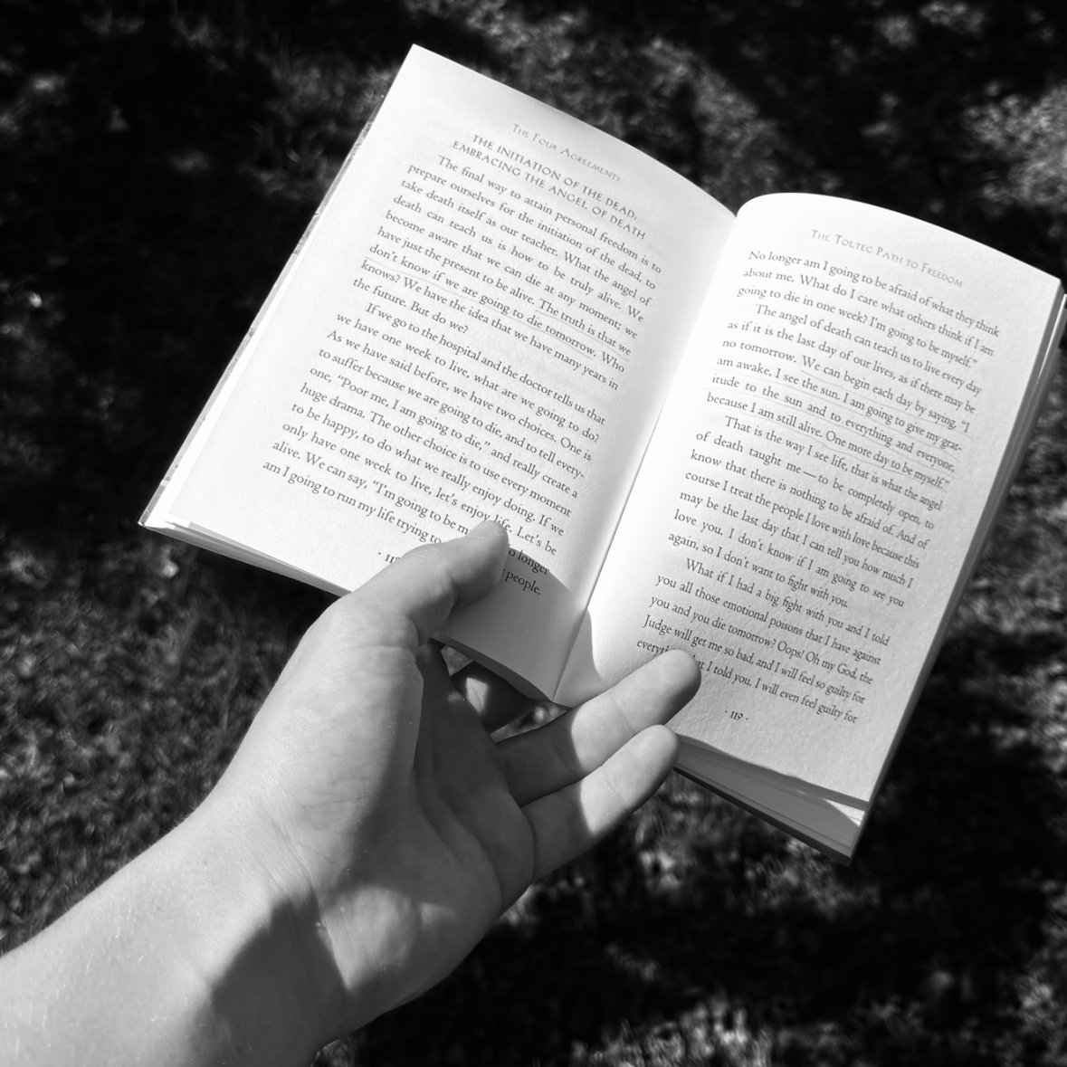 Hannes Leppen tweet media