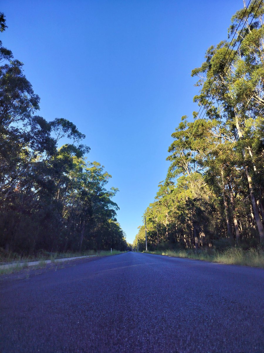 MillingtonSally's tweet image. Morning 5km run 
Following the footpath through the forest, and along the beach to the very end of the peninsula where the pelicans were chilling! 
Happy Sunday! 😀🏃‍♀️🇦🇺
#Myola #Running #Australia