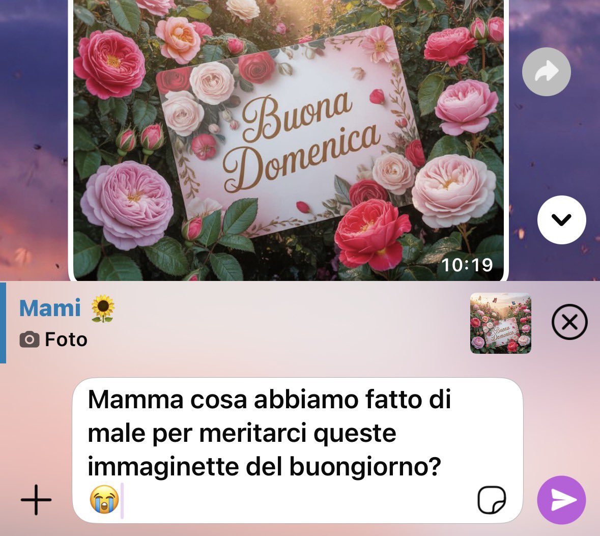 Iaia ๛ tweet media