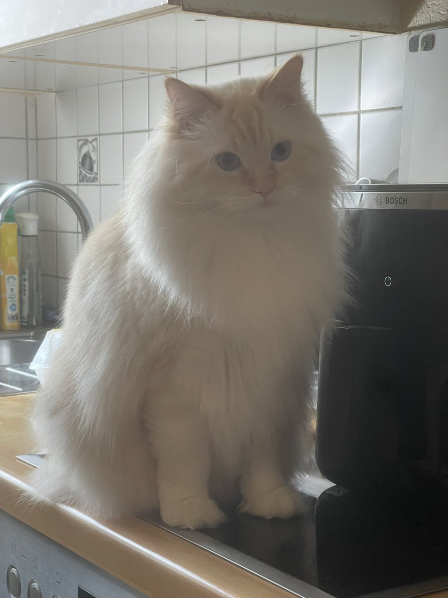 Sadık Özben tweet media