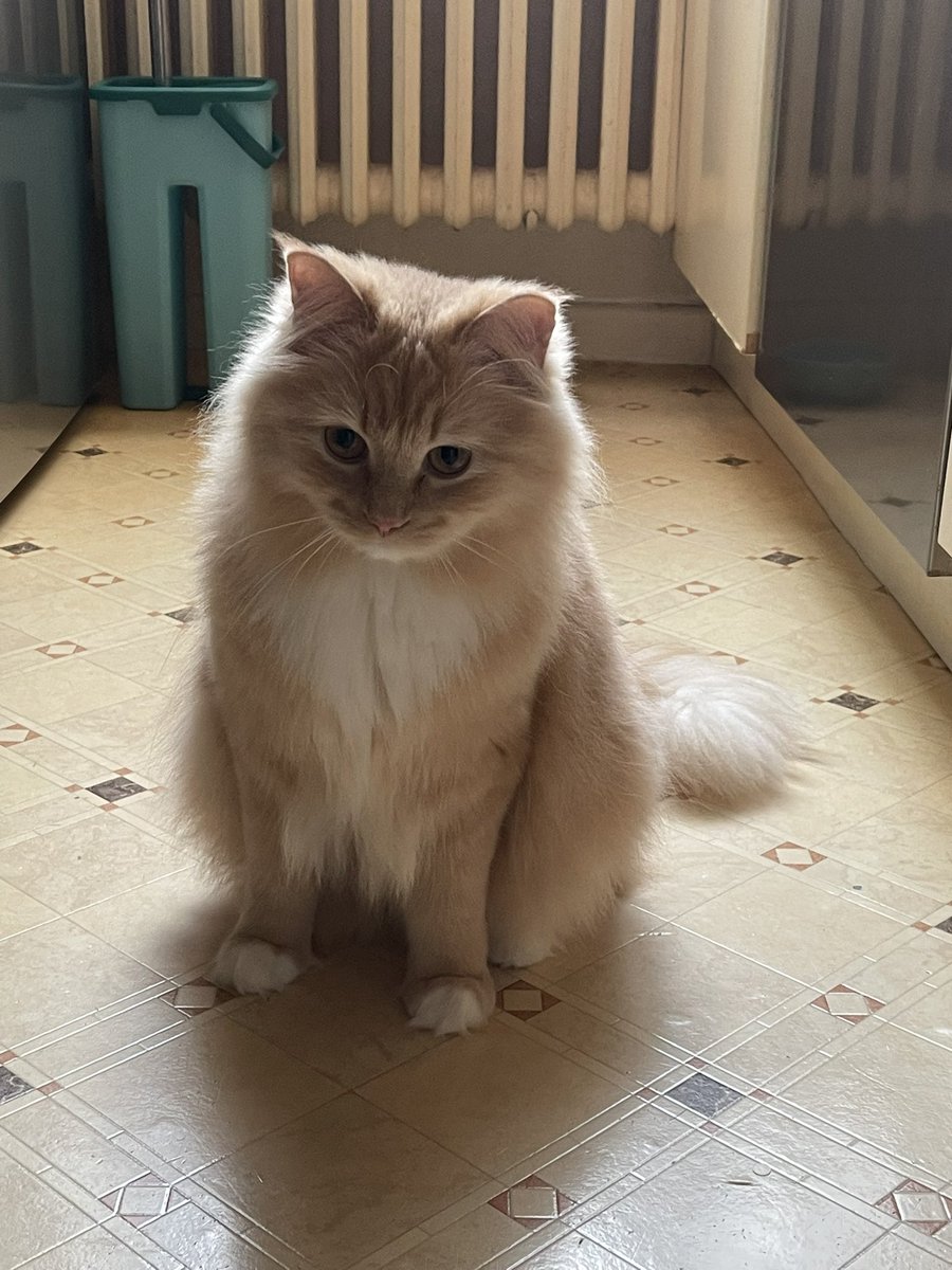 Sadık Özben tweet media