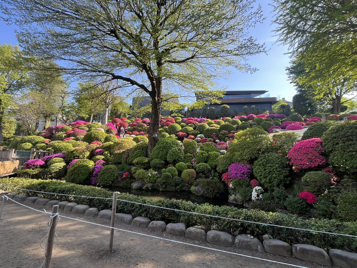 seiko🎸全国通訳案内士(英)&ドイツ語&サウナ✨アラ50色んな学びに挑戦中🔥 tweet media