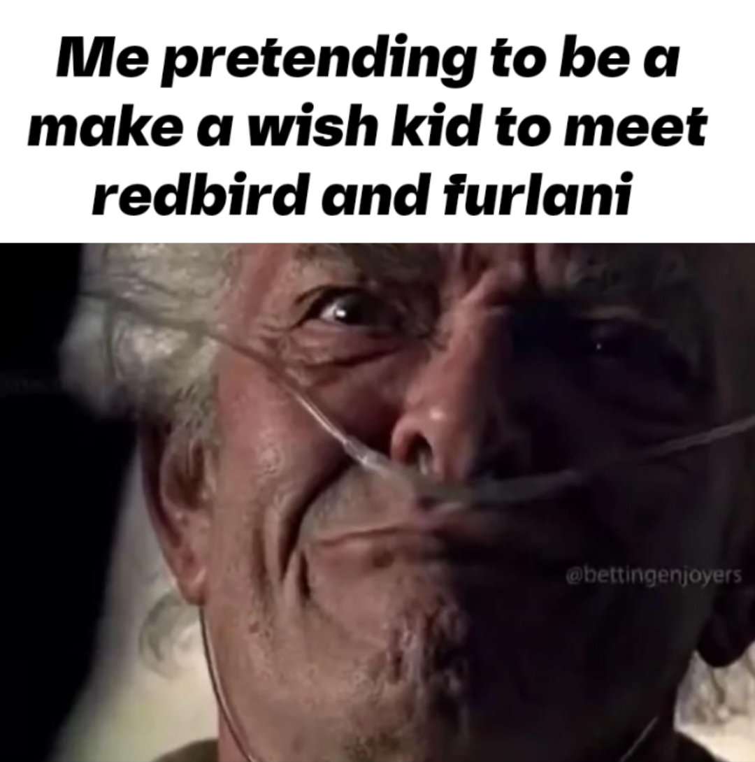 Sabeel 🍁 tweet media