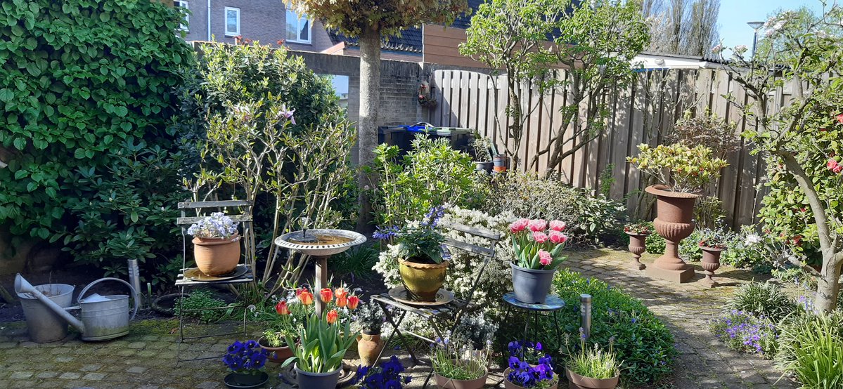 Fijne Zondag, luitjes!