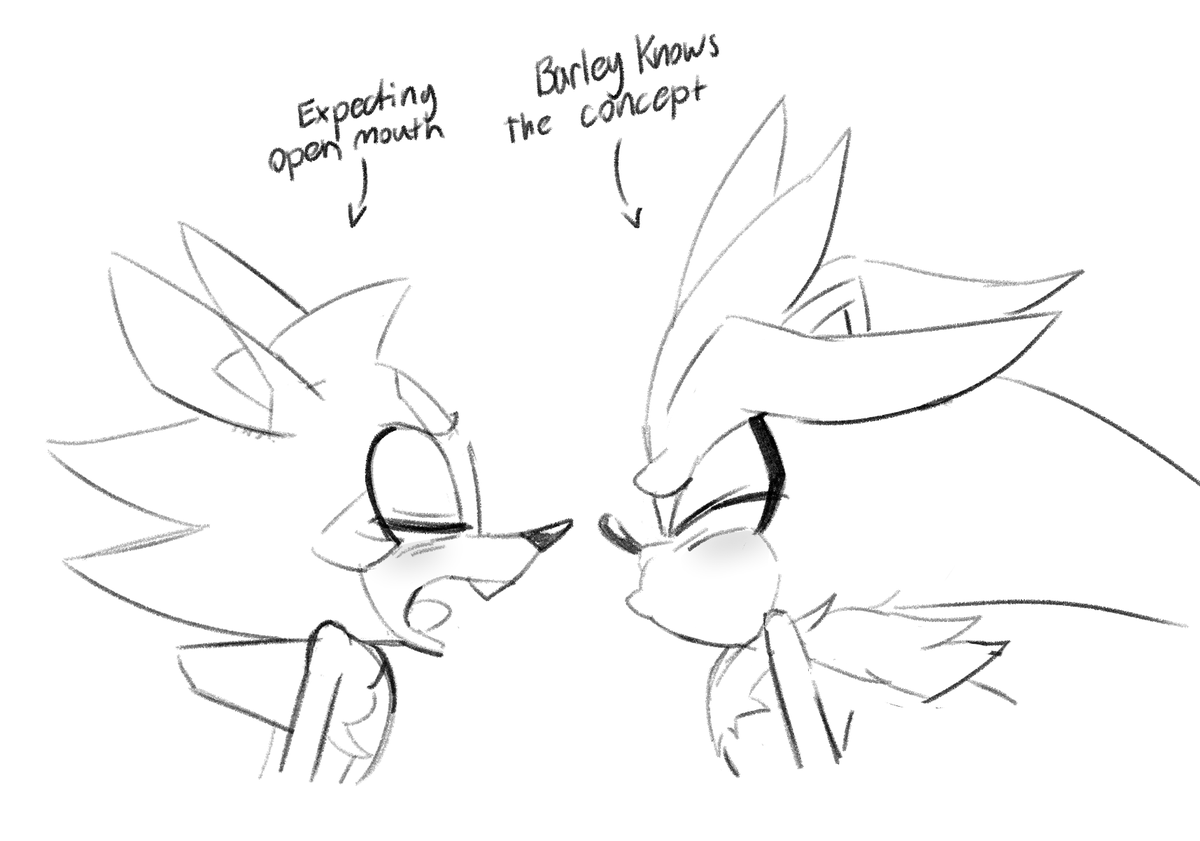 ⋆˙✦ Robby💫. ݁₊ tweet media