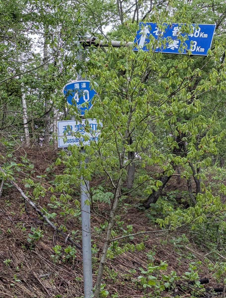 はらへった tweet media