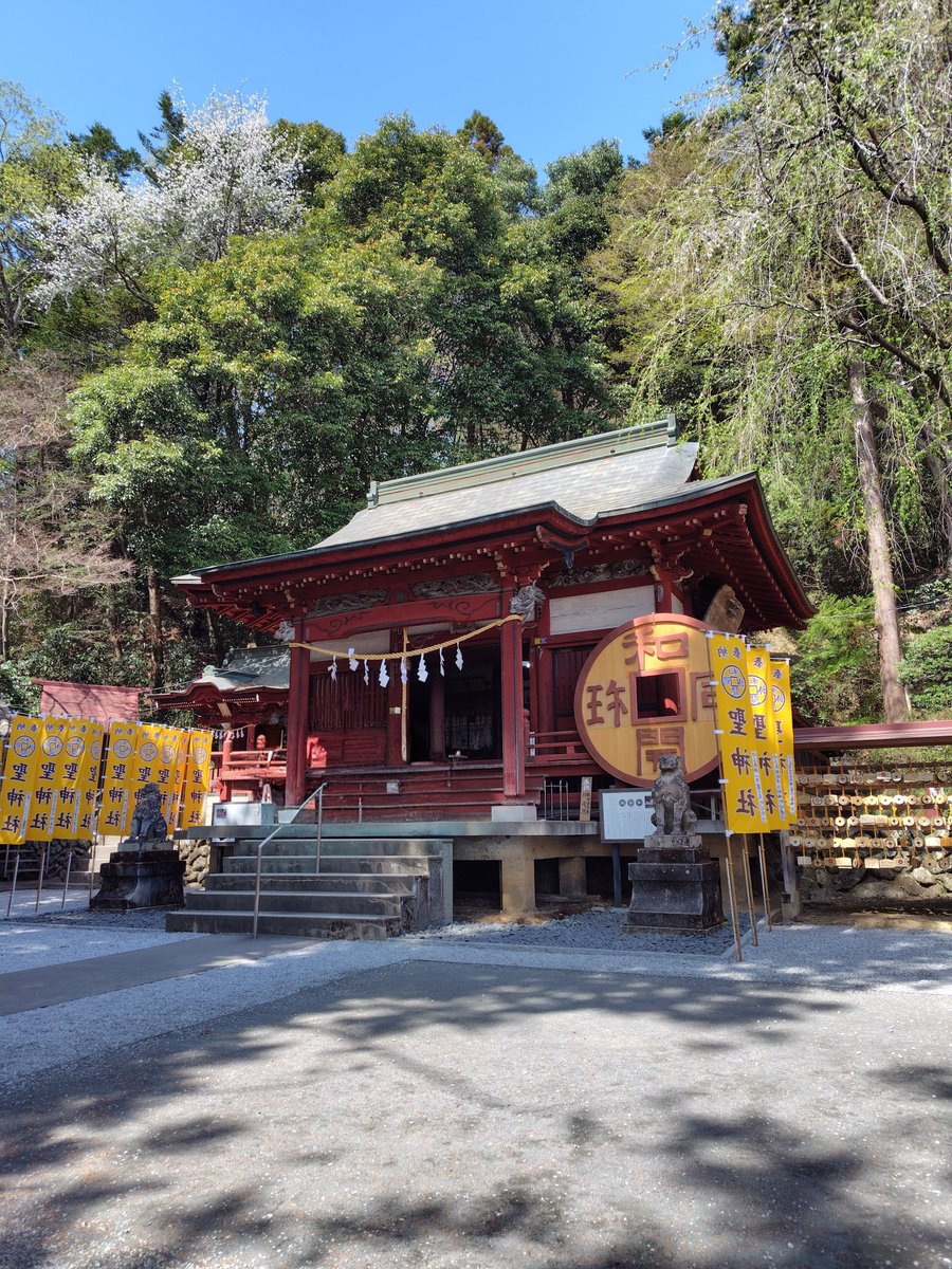 tridentadv's tweet photo. 毎年恒例、長瀞の聖神社
1年間特にお金に困る事なく過ごせたのも、御利益のおかげと感謝してお参りして来ました https://t.co/zwgp1jAeuy
