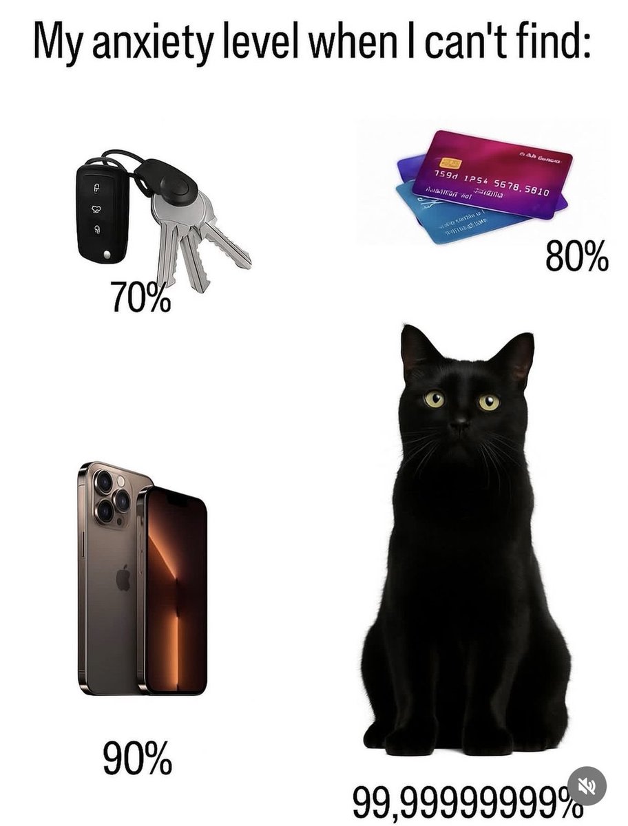 Black cats are not bad luck tweet media