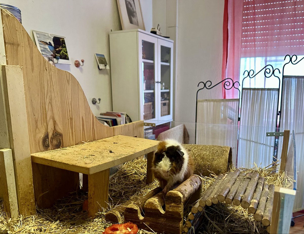 Anna Rebella, the woman, the myth, the legend tweet media