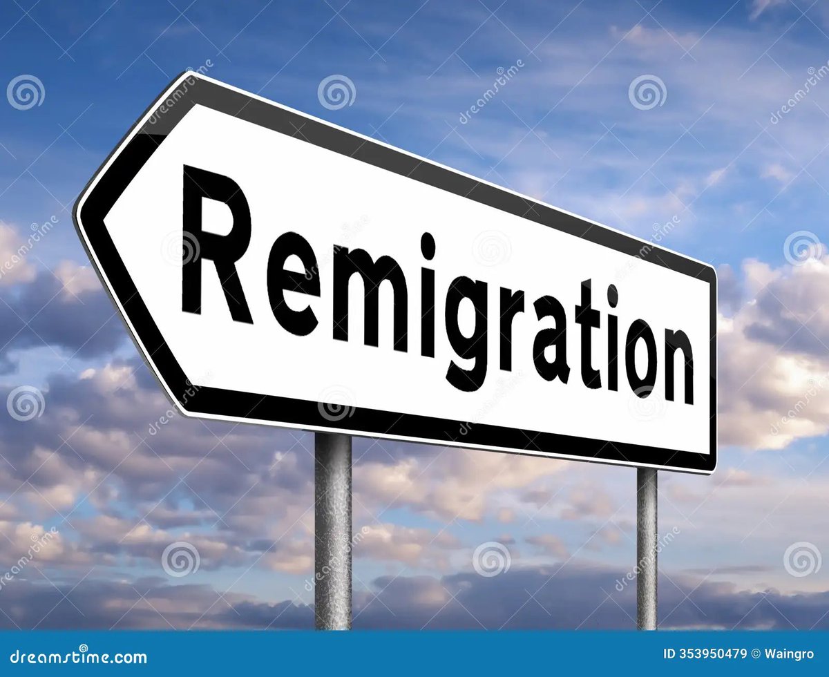 FranceLibre tweet media