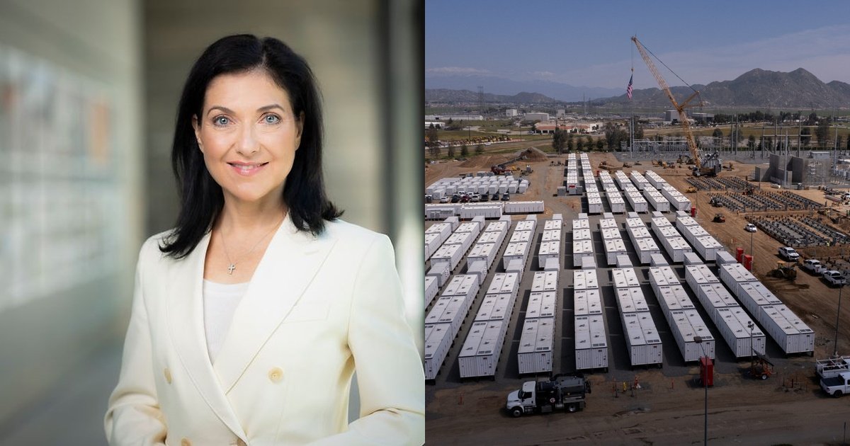 Rico Grimm tweet media