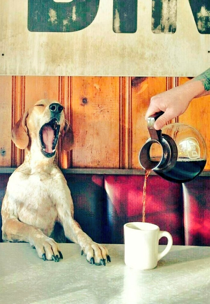 Ernesto Olano✏️ tweet media