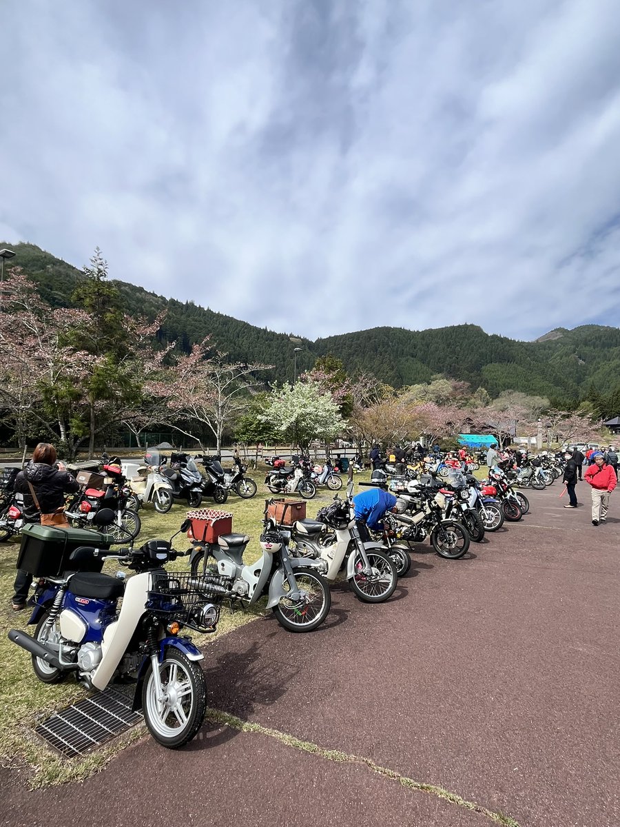 MEGA graphics tweet media