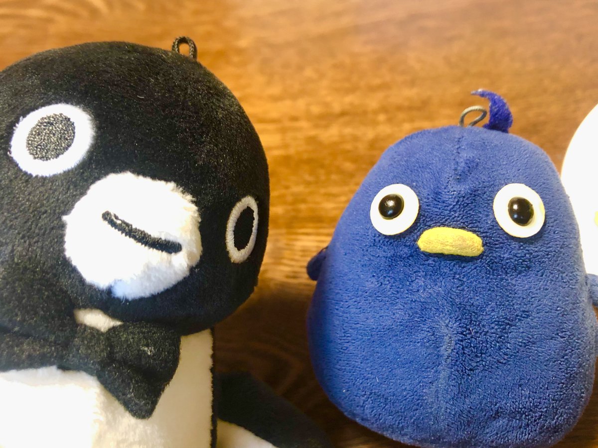 タケルちゅん tweet media