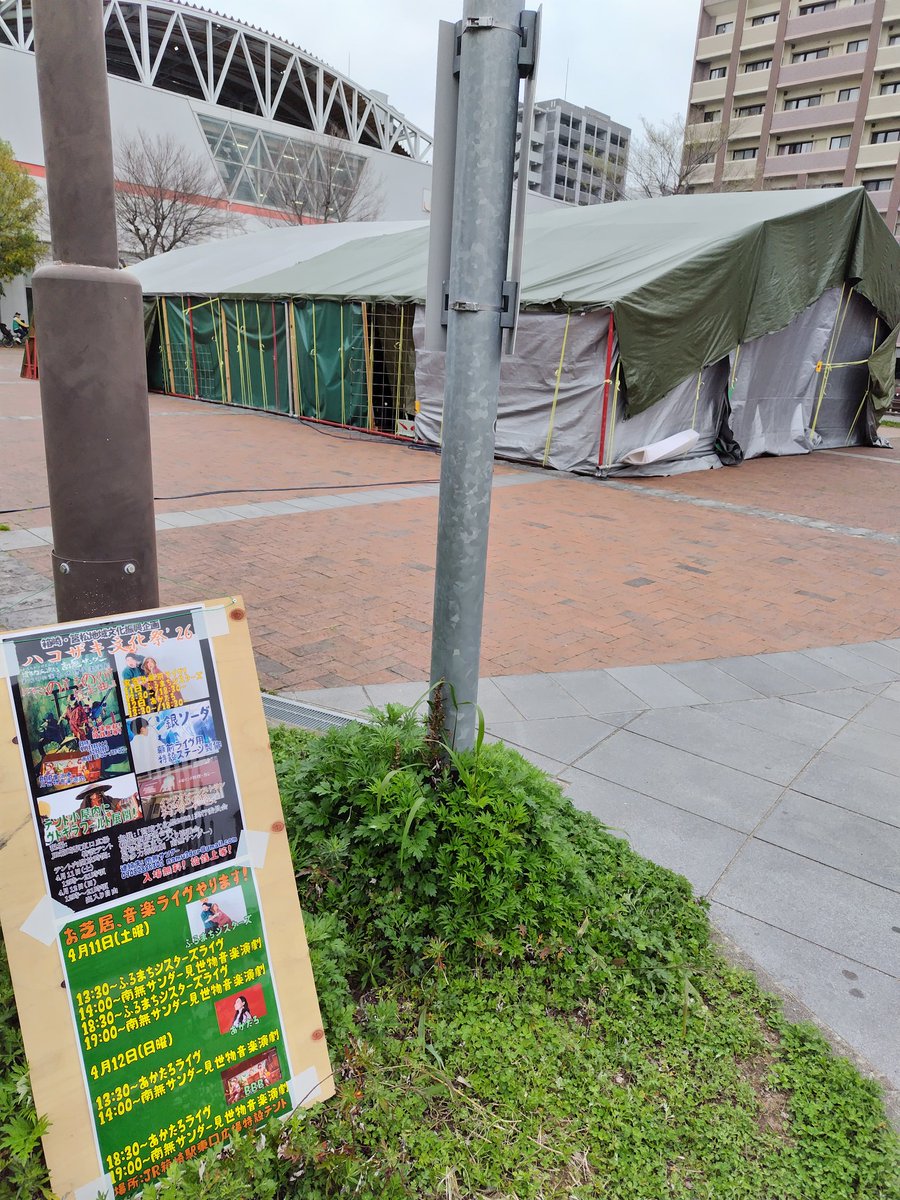 SUN CHILD tweet media