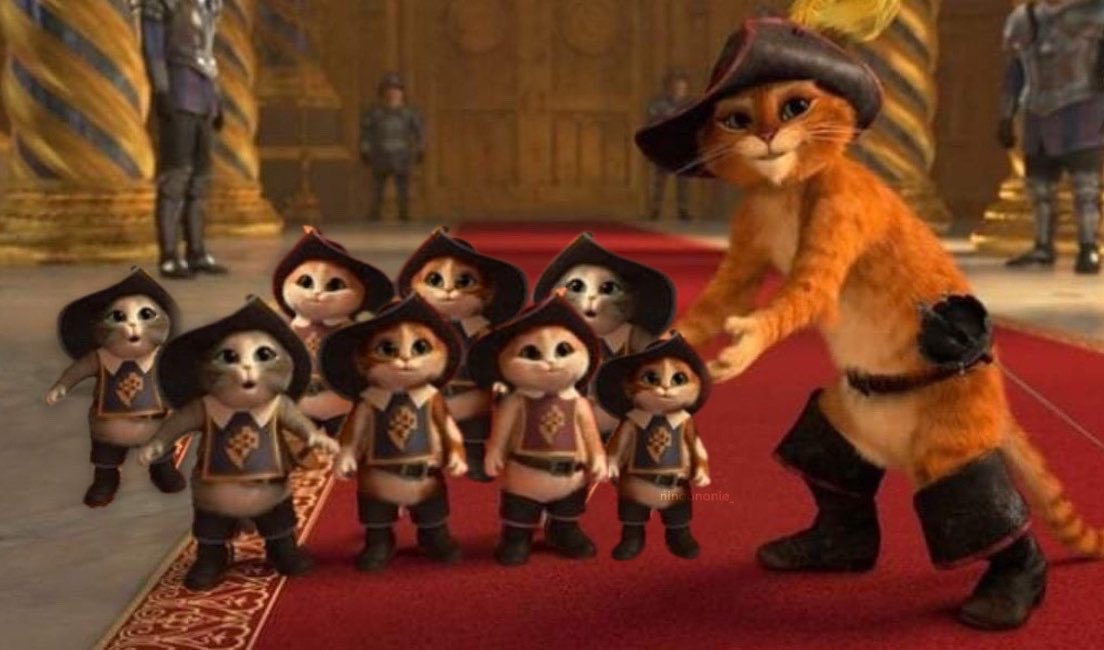 𝓑 — ౨ৎ‧₊˚ tweet media