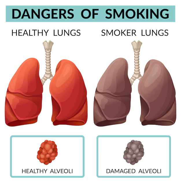 Leviathan tweet media