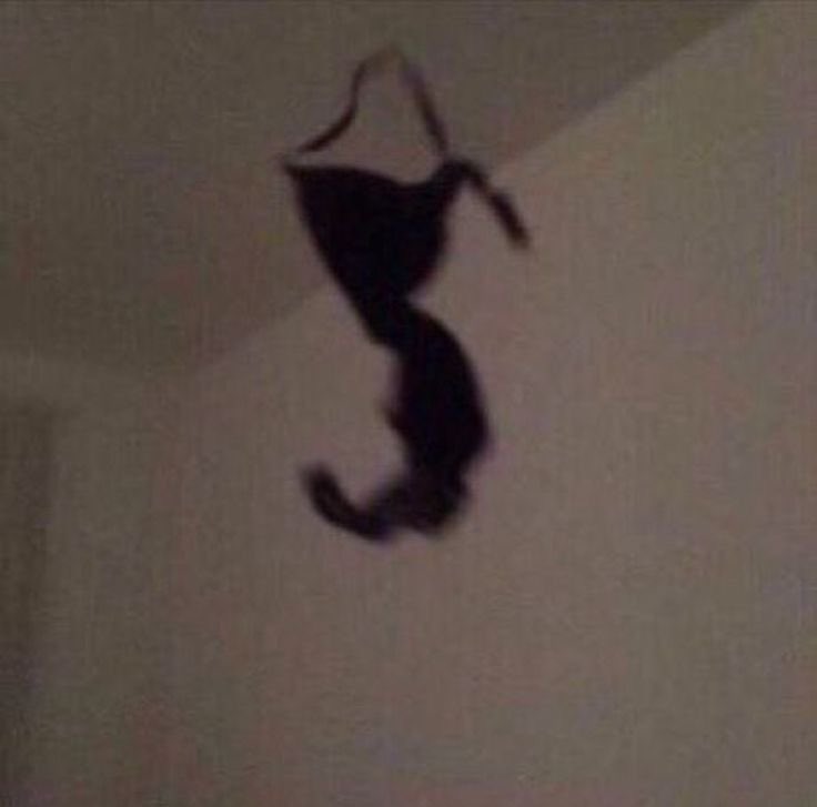 𝓢𝓪𝓯𝓲𝓪🖤 tweet media