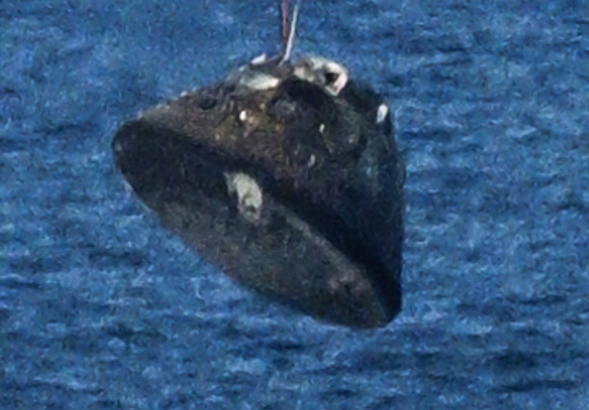 Rêves d'Espace tweet media