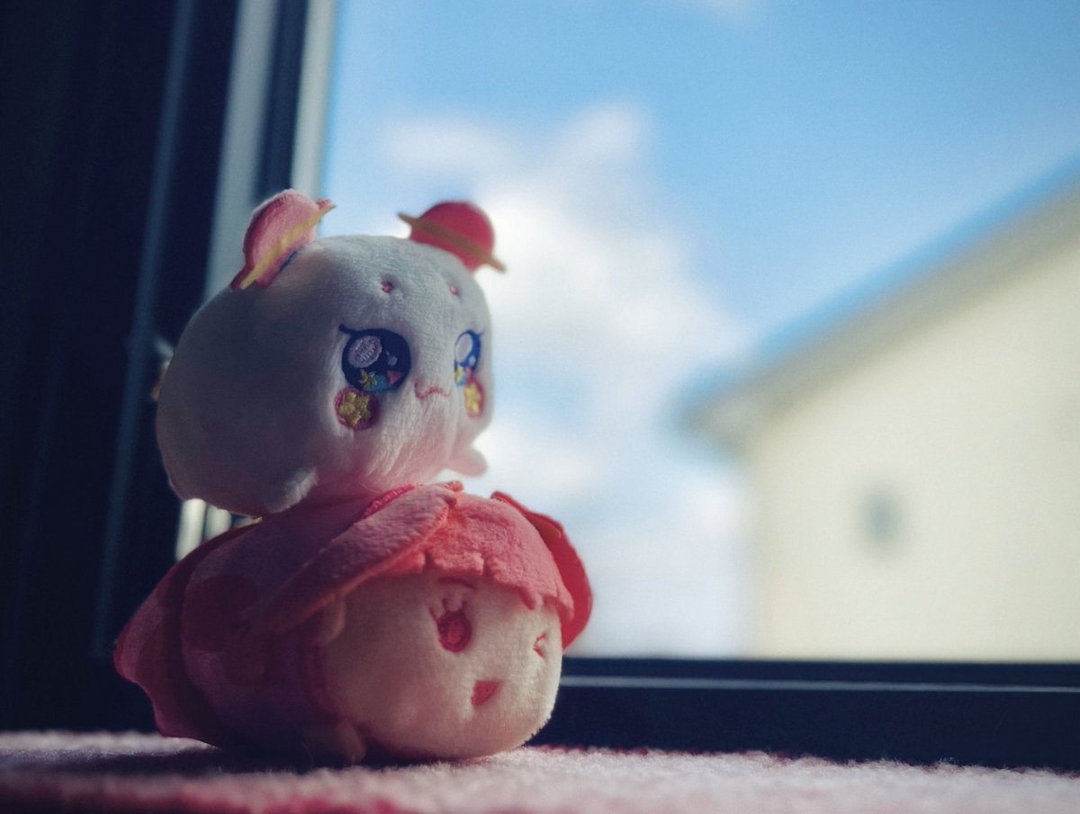 宮元宏彰 tweet media