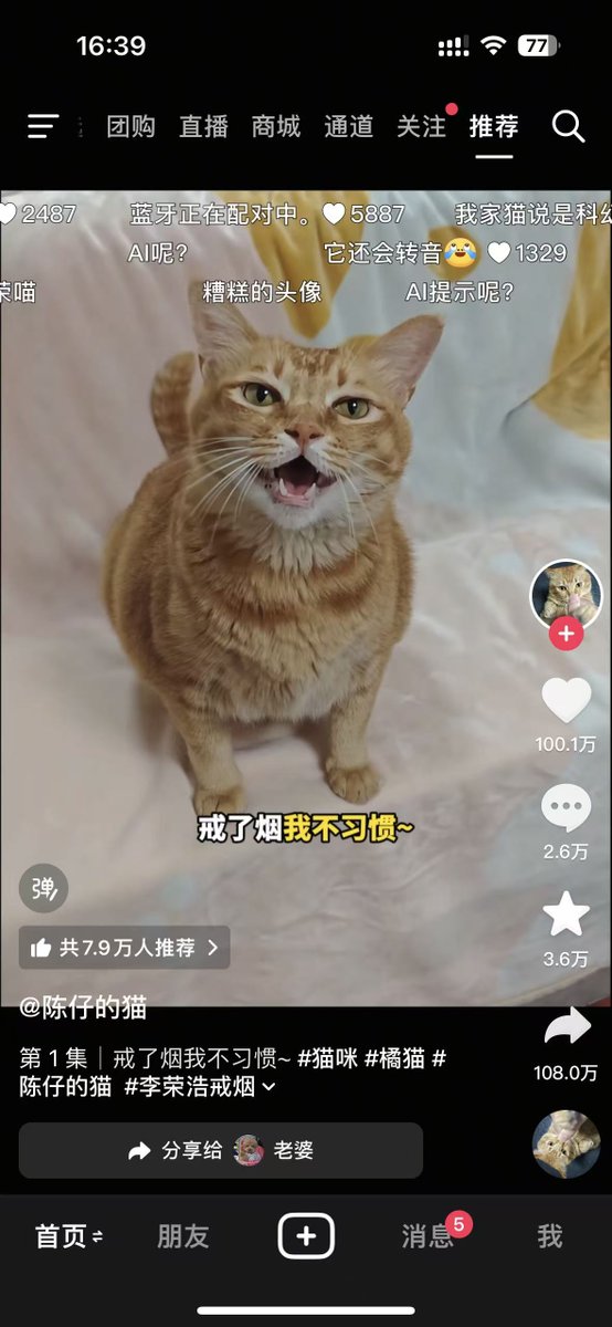 乌龟的黑头 tweet media