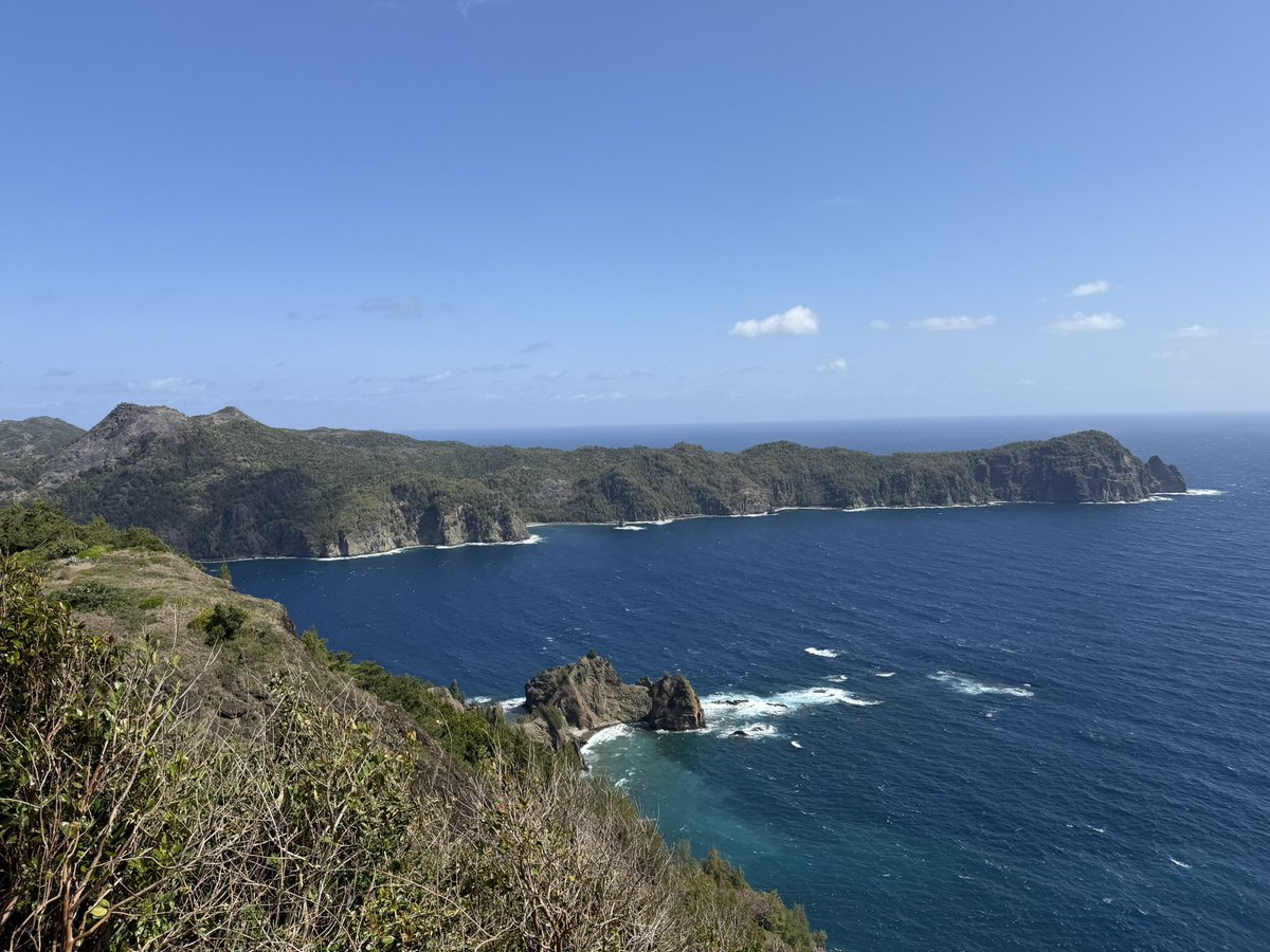 ねおん@広島市 tweet media