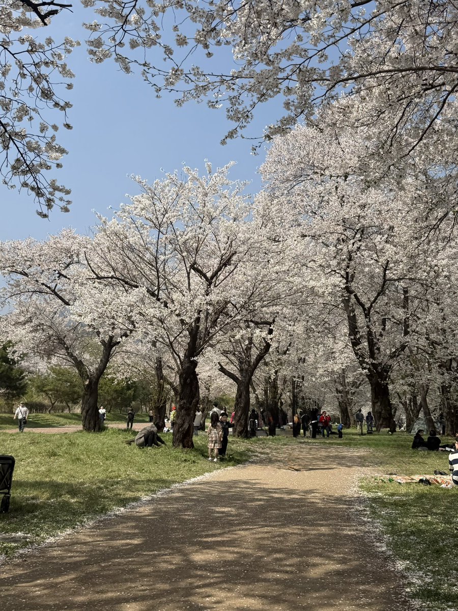 82 (@rem82kram) on Twitter photo 