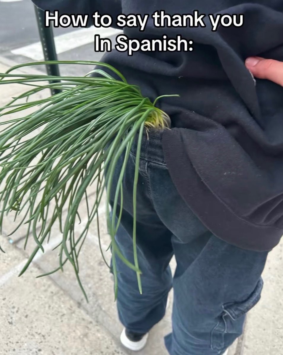 Respectful Memes tweet media