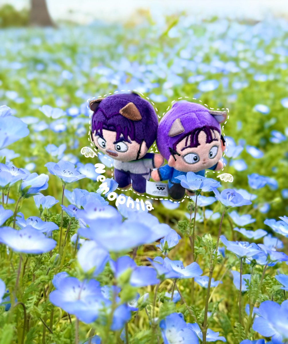銀花 (@pedaginka) on Twitter photo 