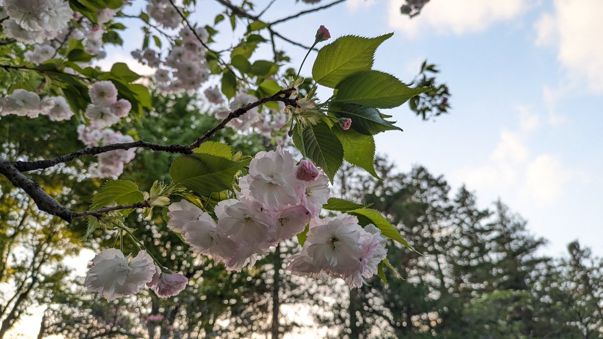 7K1BIB 山内貴博（JARL常務理事/総務担当） tweet media