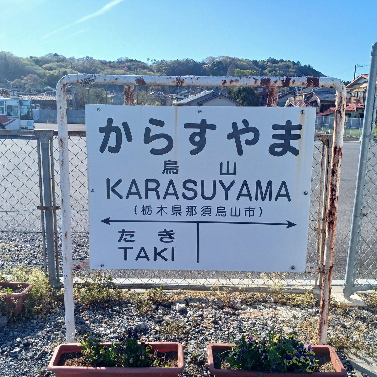 あずま🦉 tweet media