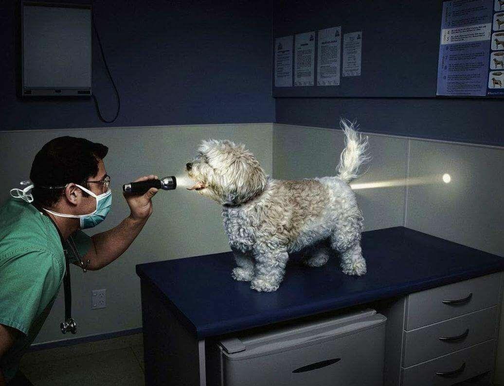 hmmm.jpg tweet media