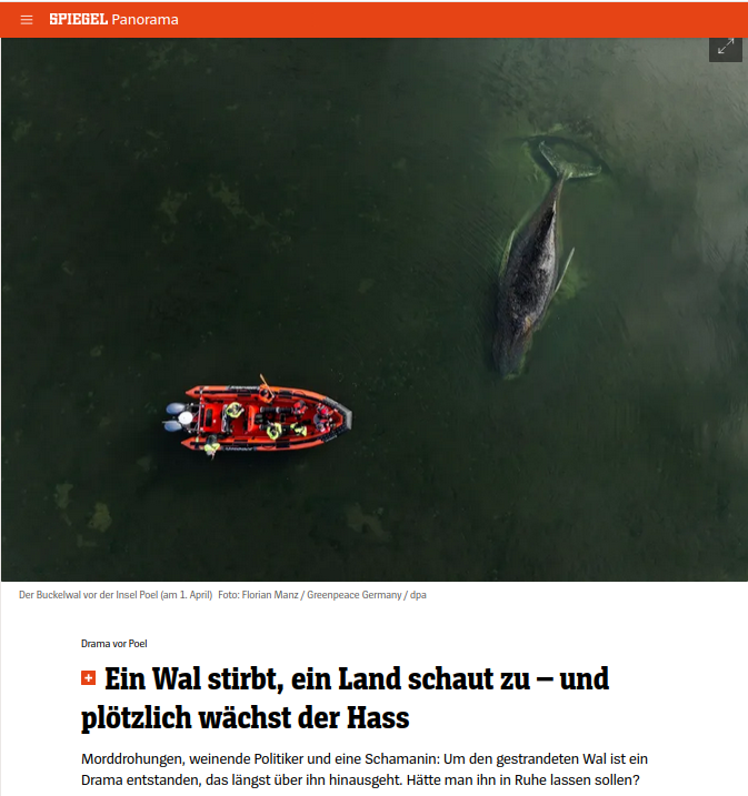 was der Fall ist tweet media