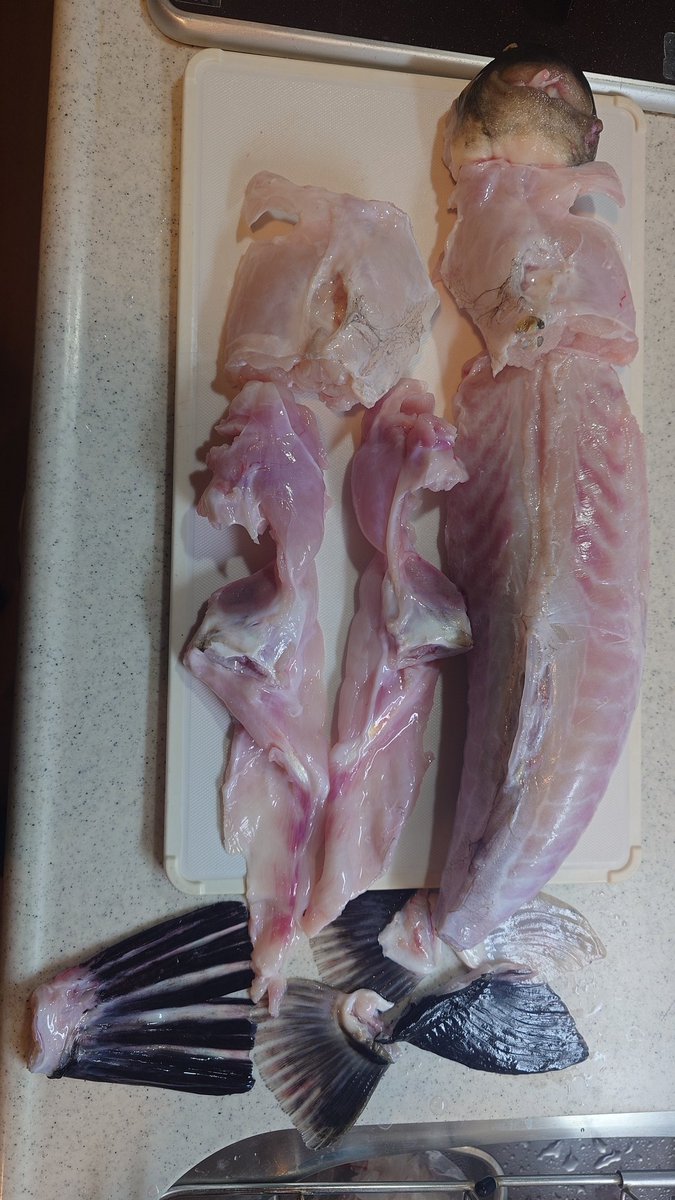 うっしー tweet media