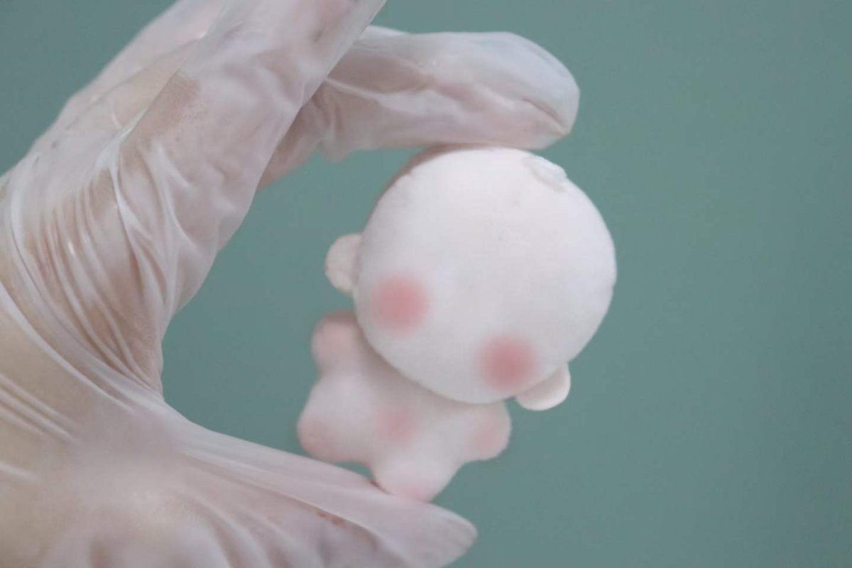 HengZeToys's tweet image. #customtoy #toymanufacturer #custommade #customplush #plushies #PlushToys #CustomPlush #plushfactory
They’re tiny—just 5cm~ 
Fancy any? 🥰