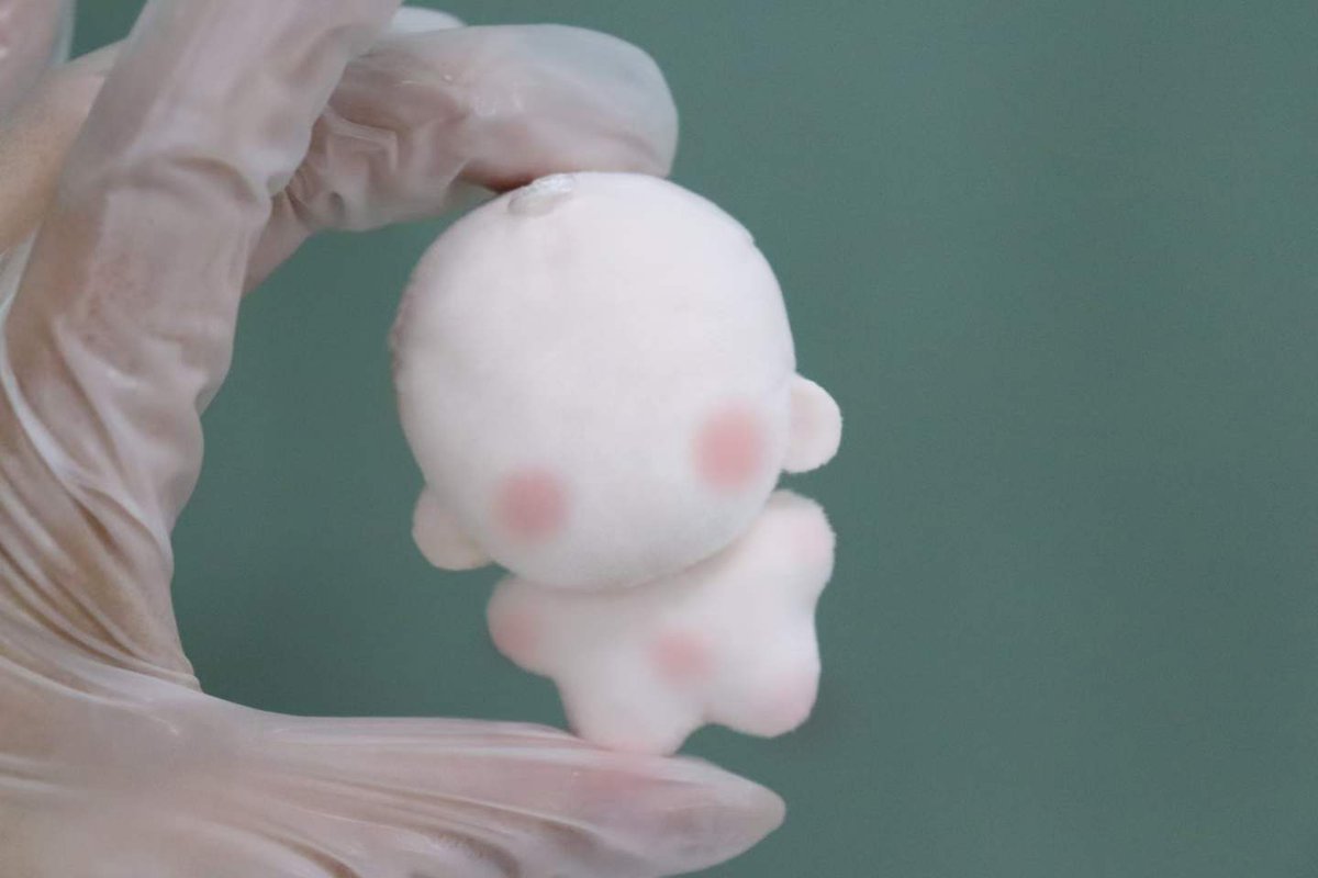 HengZeToys's tweet image. #customtoy #toymanufacturer #custommade #customplush #plushies #PlushToys #CustomPlush #plushfactory
They’re tiny—just 5cm~ 
Fancy any? 🥰