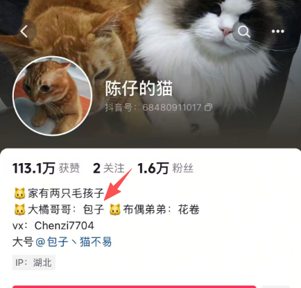 乌龟的黑头 tweet media