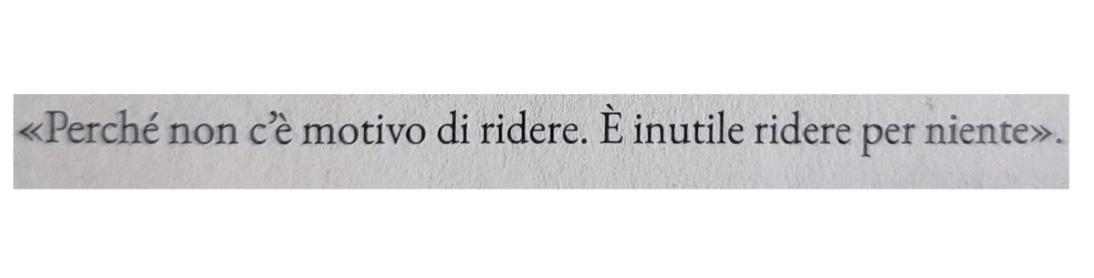 Checco Coniglio tweet media