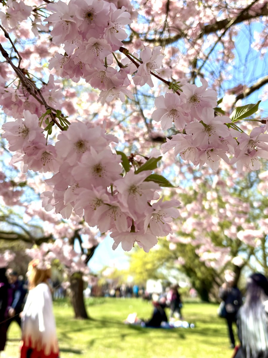 🎄🎅🪅雀 🌟 jack🪅🎅🎄 tweet media