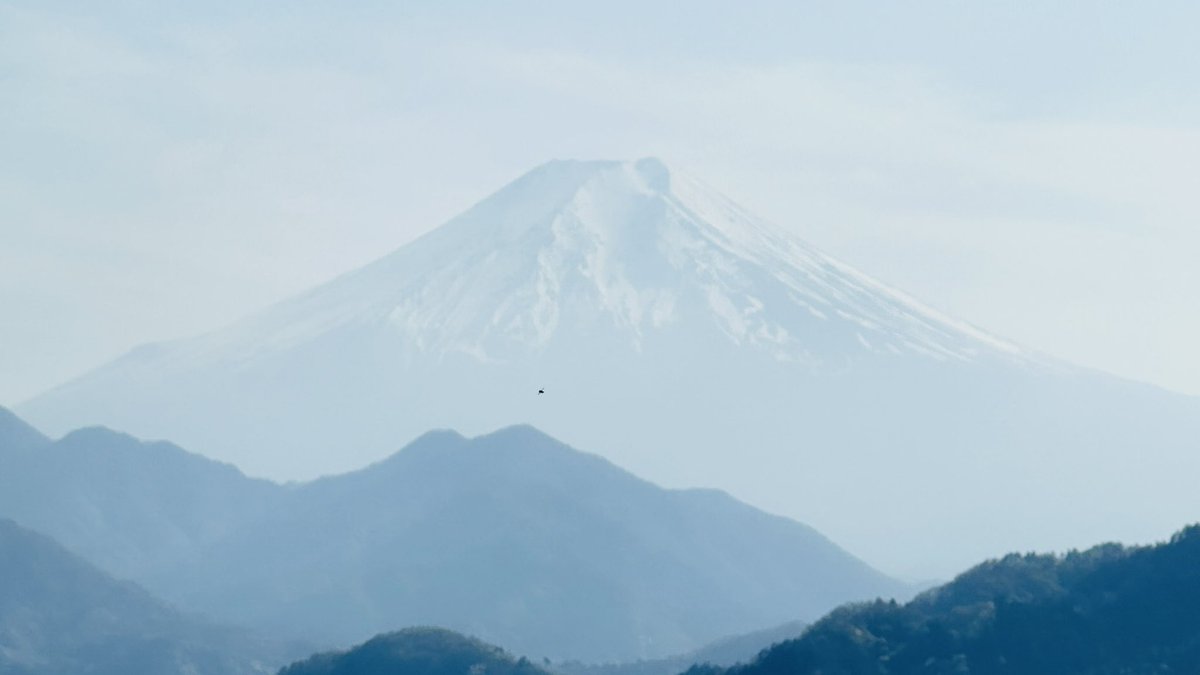 あまね tweet media