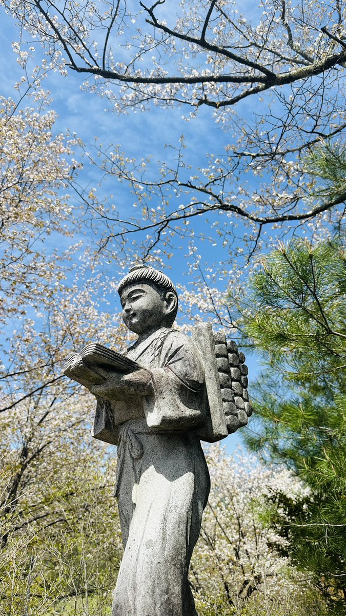 あまね tweet media