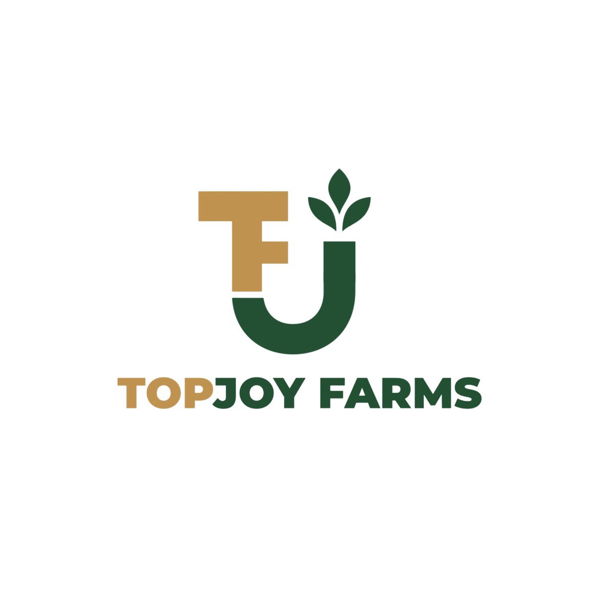 AbrahamSheneni's tweet photo. TopJoy Farms logo represents growth, freshness, and quality.
The leaf element shows agriculture and natural production, while the green color stands for life and trust.
The gold color reflects value and excellence. https://t.co/6UnNwLbnD0