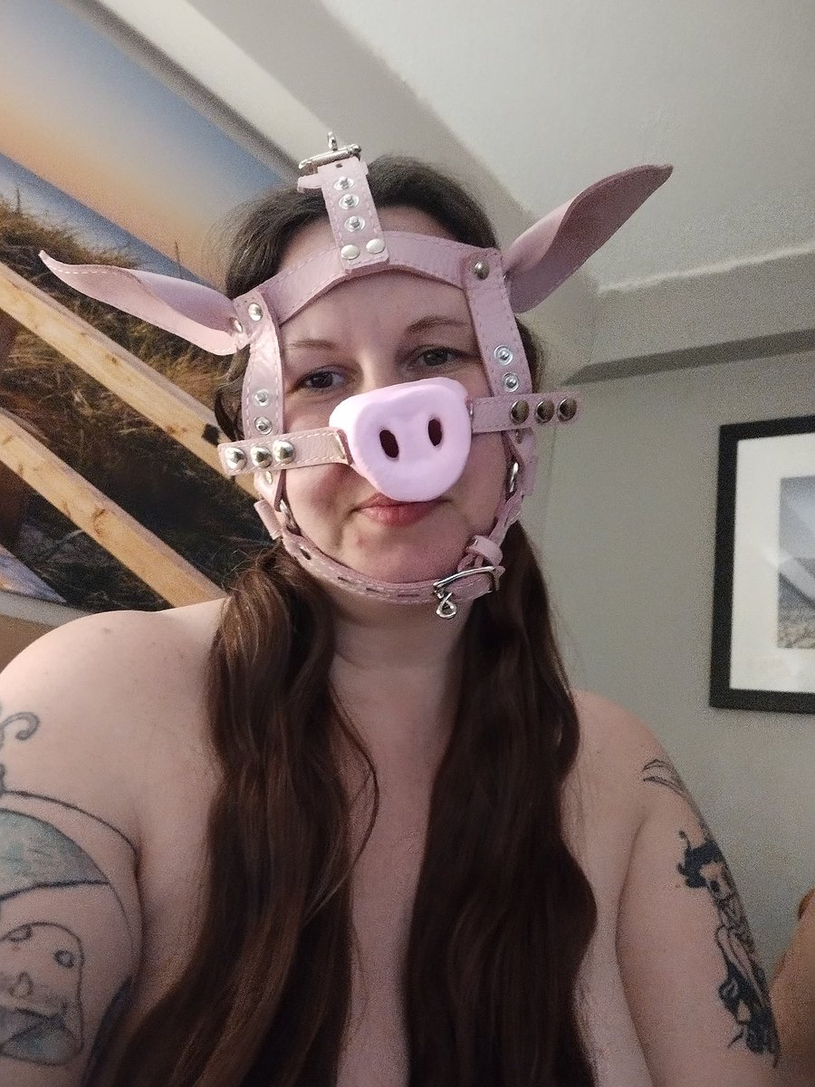 mylilpiggy83's tweet photo. Oink oink #onlyfans #of #masturbation #masturbate #pussy #tits #pigslut #slut #ass #bigbooty #booty #bubblebutt #phatass #maskplay #petplay #closeup 

Come see my onlyfans to see me play in my new mask. 
I'm working on the paperwork to make content with someone else https://t.co/wvnDqDpw3i