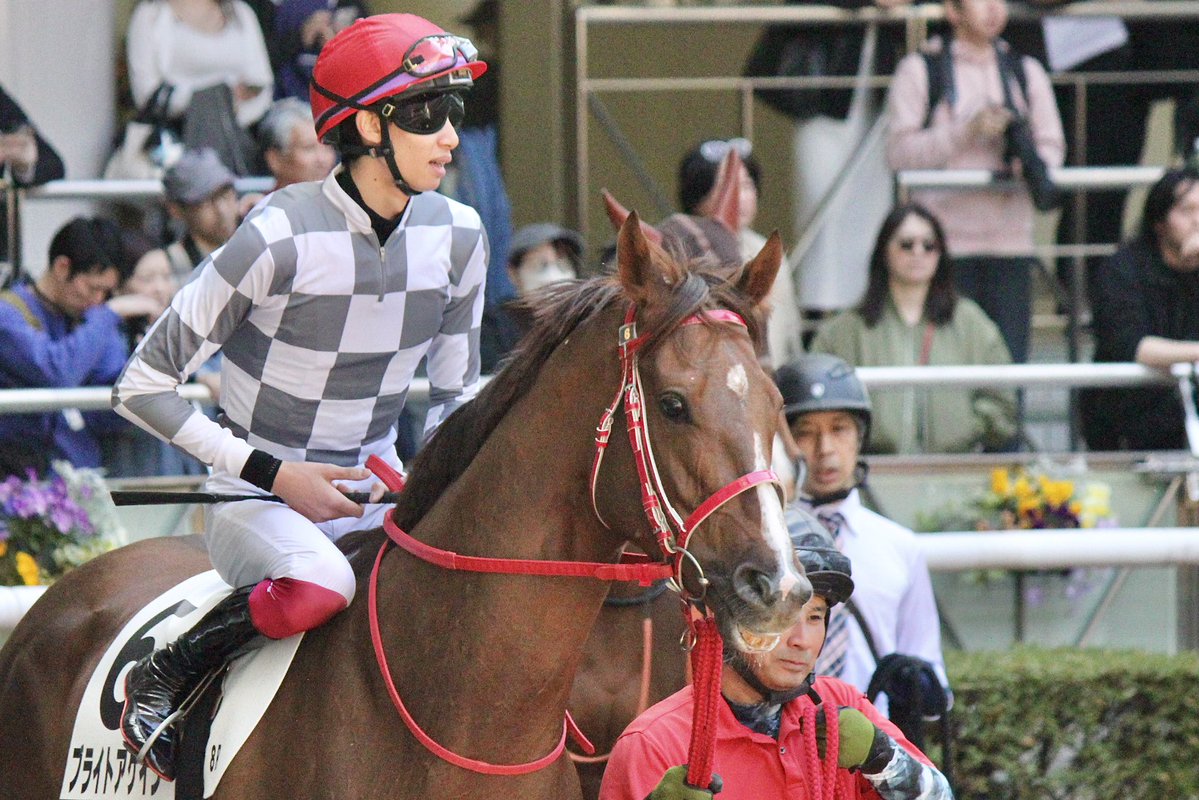 インゼルサラブレッドクラブ tweet media