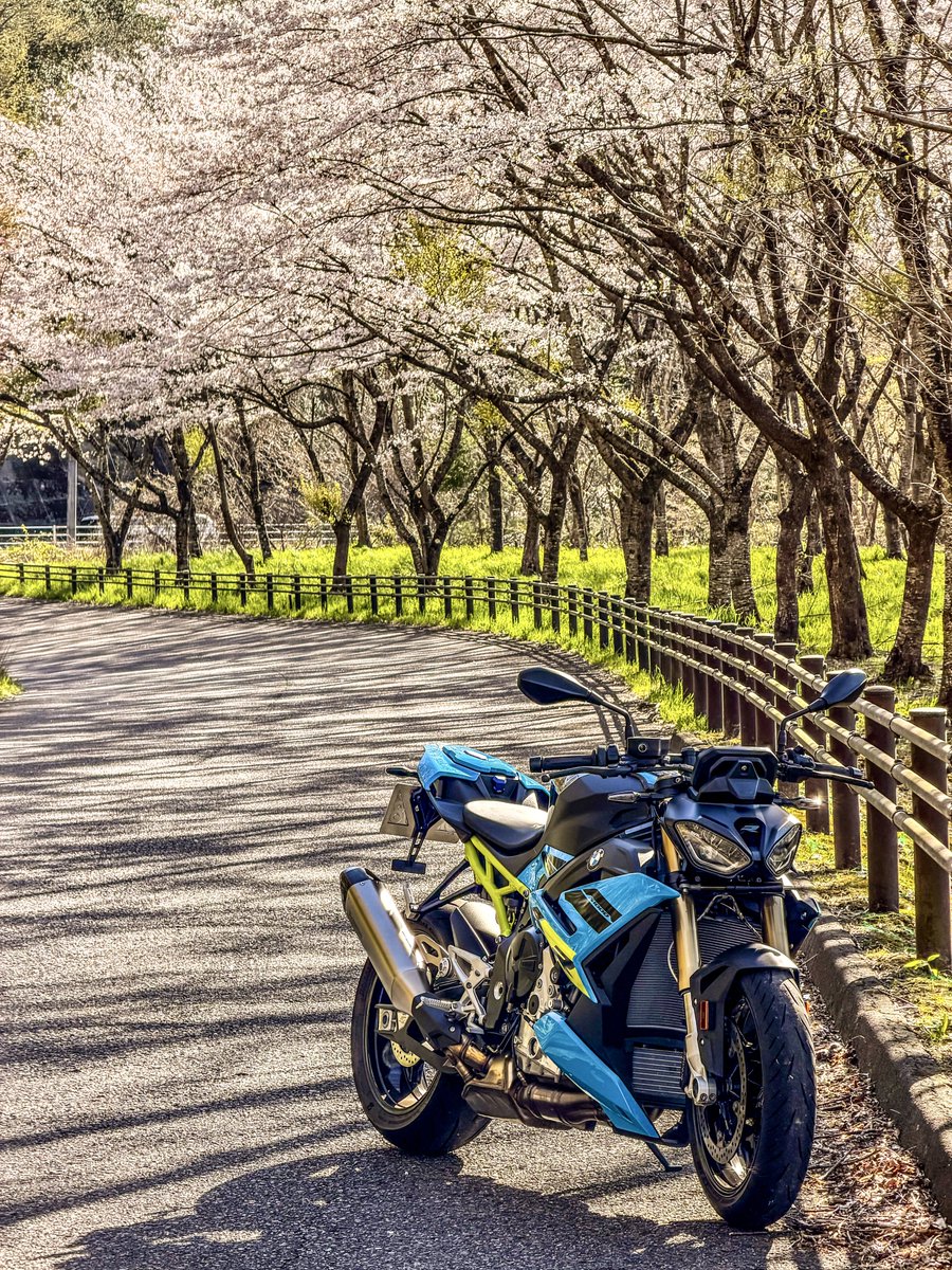 pxw04262's tweet photo. 今日は朝から強風でしたが、気持ちよさそうな青空に誘われバイクで桜を見てきました。ピークを過ぎてはいましたが綺麗な桜を満喫できました。
#S1000R https://t.co/jHGRbnGS1Z