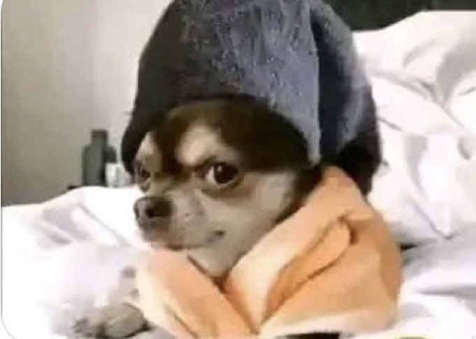 Benjamin tweet media