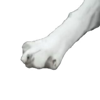 Jurard T Rexford 🦖HOLOSTARS EN tweet media