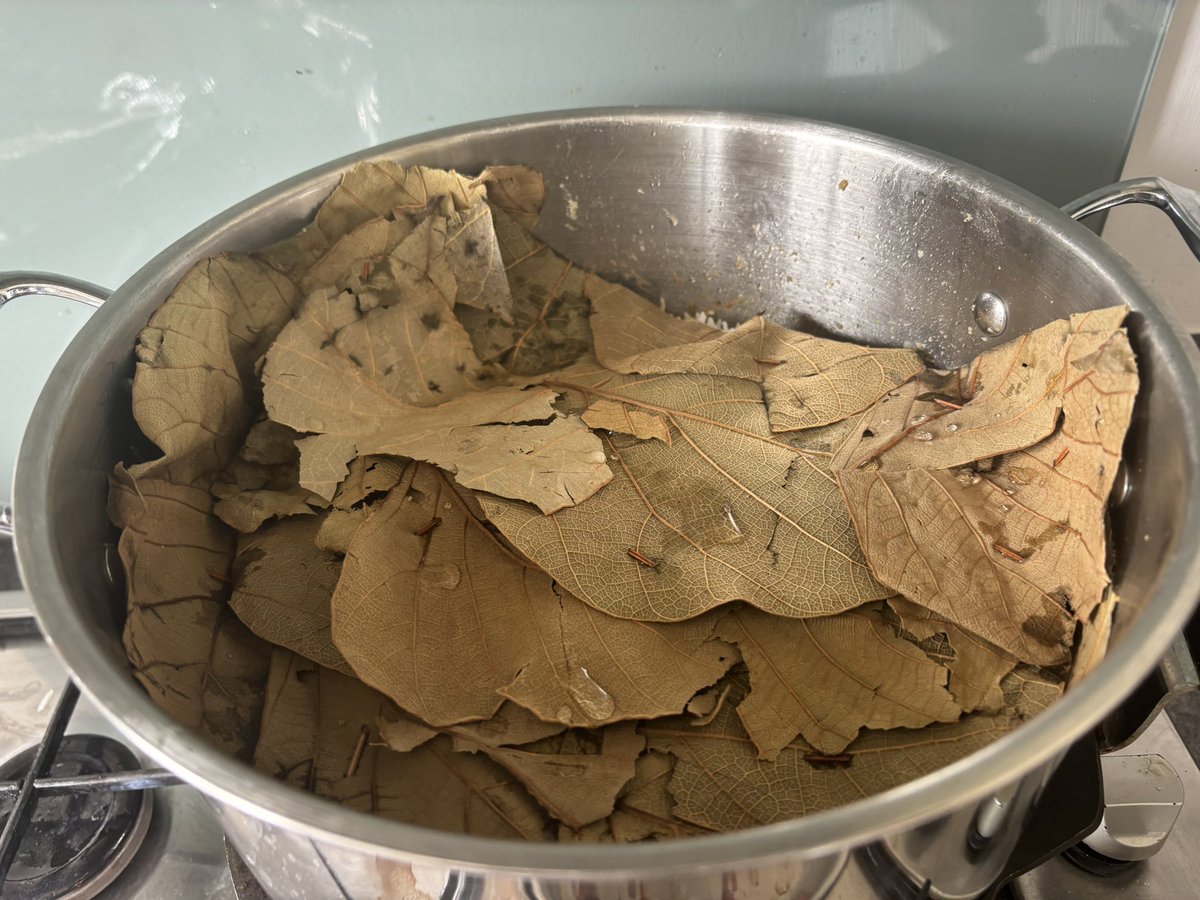 LadyBOSS tweet media